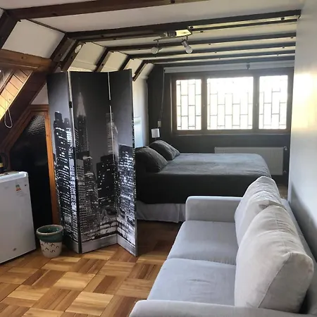Gran Habitacion Con Bano Privado Y Vista A La Montana, Cerca De Clinica Alemana